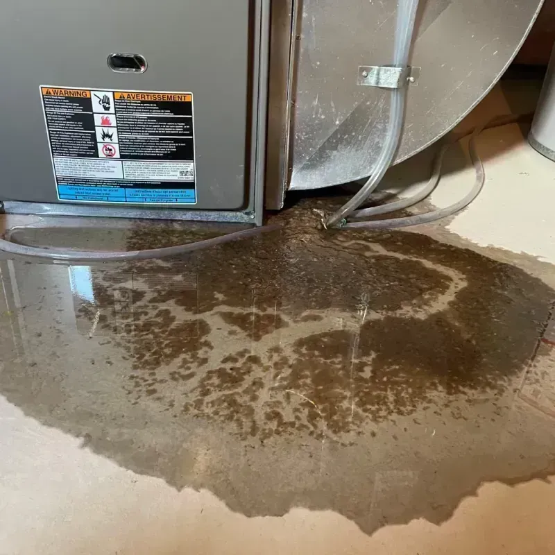 Appliance Leak Cleanup in Oblong, IL